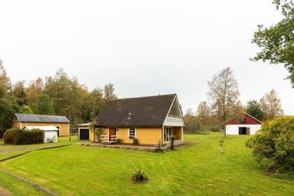 Bild av trädgården