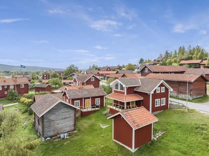 Bild av trädgården