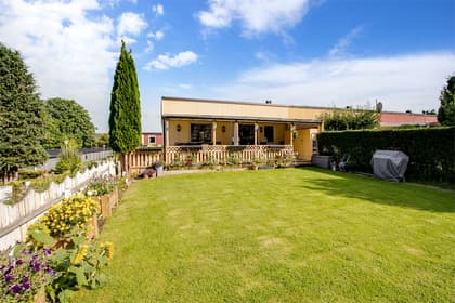 Bild av trädgården