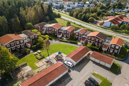 Bild av trädgården