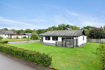 Bild av trädgården