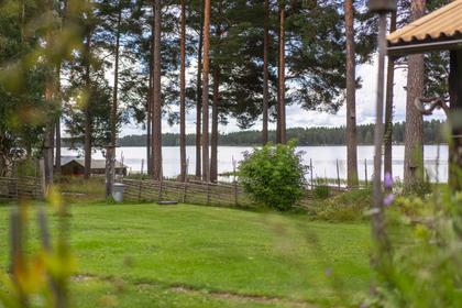 Bild av trädgården