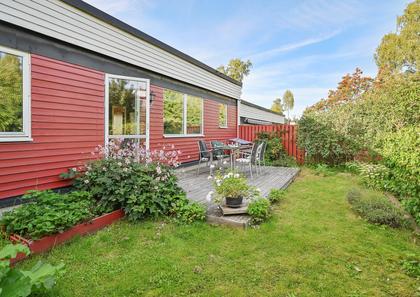 Bild av trädgården