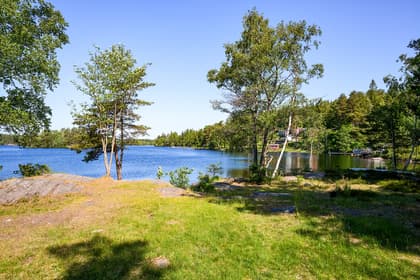 Bild av trädgården