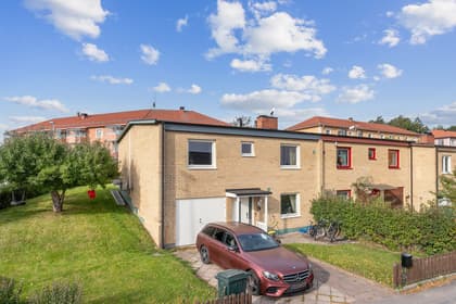 Bild av trädgården