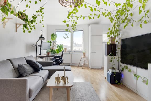 Mäster Nilsgatan 24, Malmö