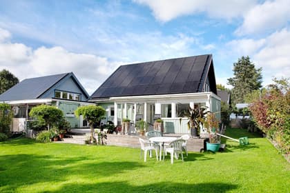 Bild av trädgården