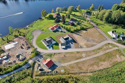 Bild av trädgården