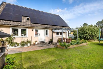 Bild av trädgården