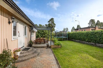 Bild av trädgården