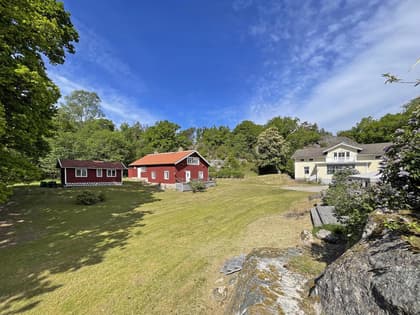 Bild av trädgården