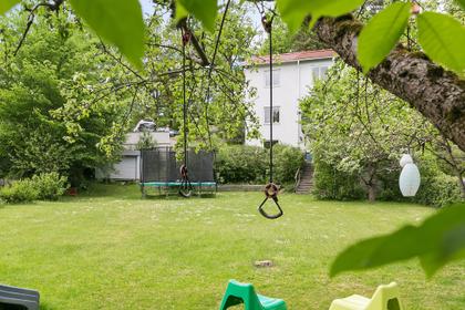 Bild av trädgården