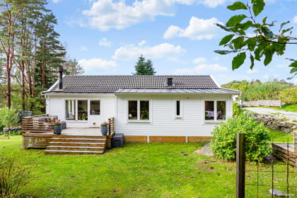 Bild av trädgården