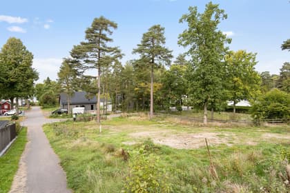 Bild av trädgården