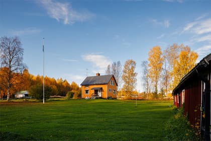 Bild av trädgården