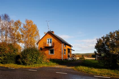 Bild av trädgården