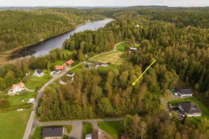 Bild av trädgården