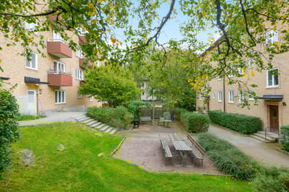 Bild av trädgården