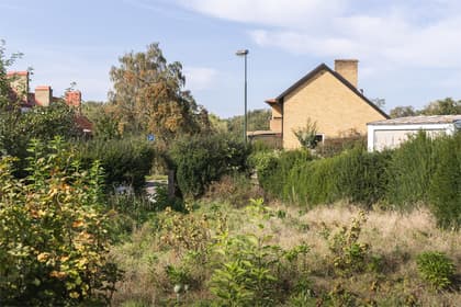 Bild av trädgården