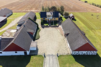 Bild av trädgården