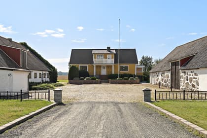 Bild av trädgården