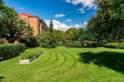 Bild av trädgården