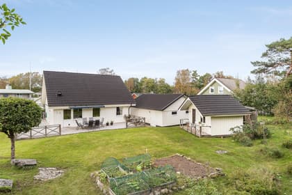 Bild av trädgården