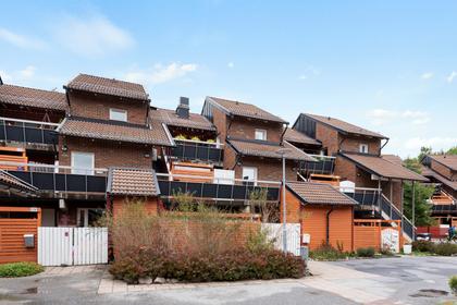 Bild av trädgården