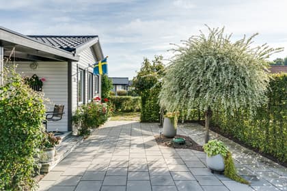 Bild av trädgården