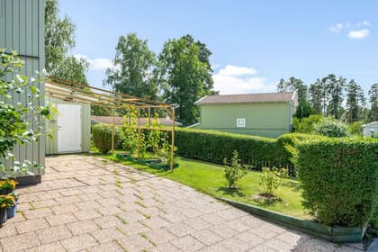 Bild av trädgården