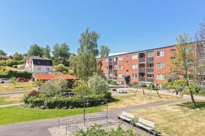 Bild av trädgården