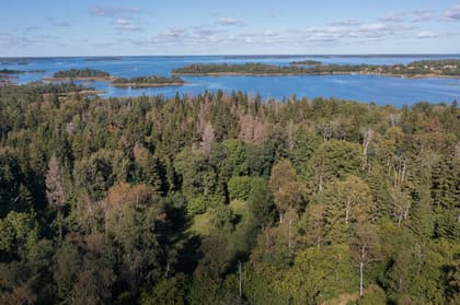 Blå Spåret 10, Söderöra