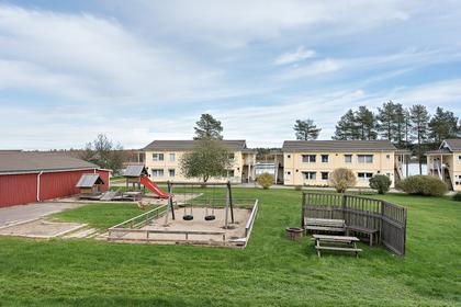 Bild av trädgården