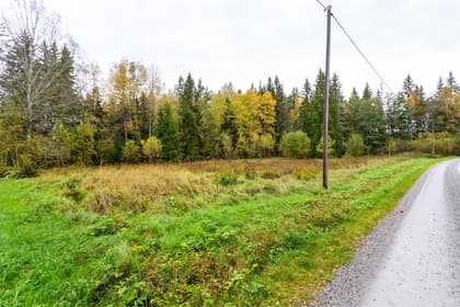 Bild av trädgården