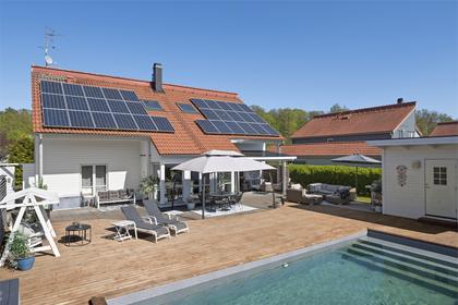 Bild av trädgården