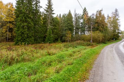 Bild av trädgården