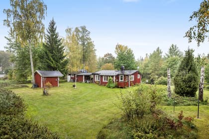 Bild av trädgården