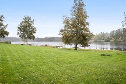 Bild av trädgården