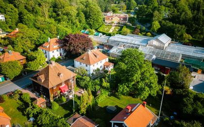 Bild av trädgården