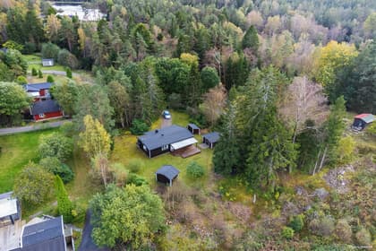 Bild av trädgården