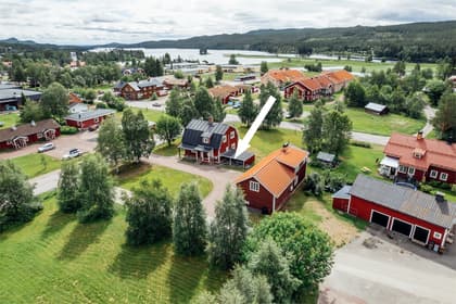 Bild av trädgården