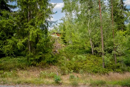 Bild av trädgården