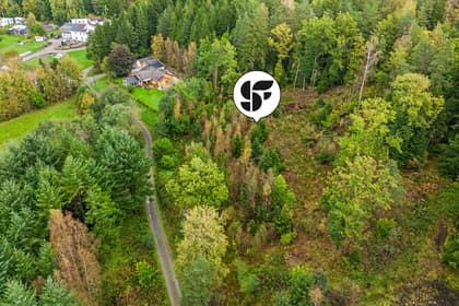 Bild av trädgården