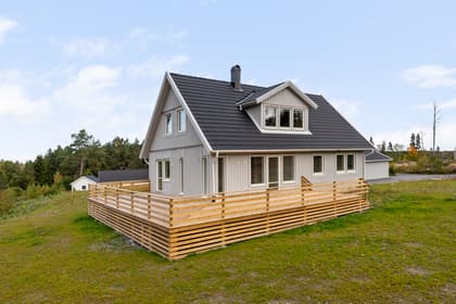 Bild av trädgården