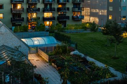 Bild av trädgården
