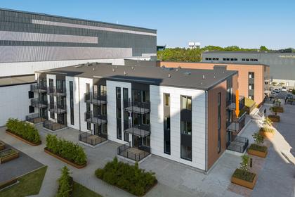 Bild av trädgården