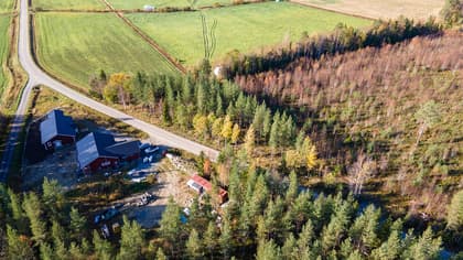 Bild av trädgården