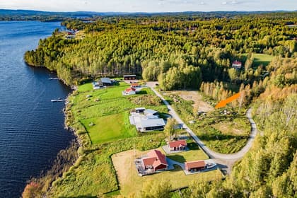 Bild av trädgården