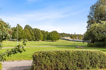 Bild av trädgården