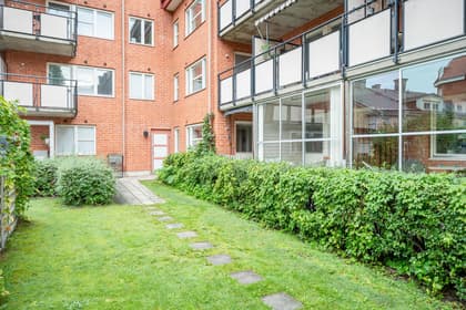 Bild av trädgården